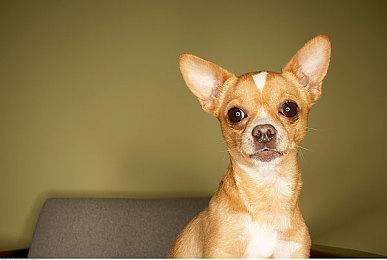 《战地2042》新赛季延迟高？ 用UU加速器降低延迟包你弹无虚发